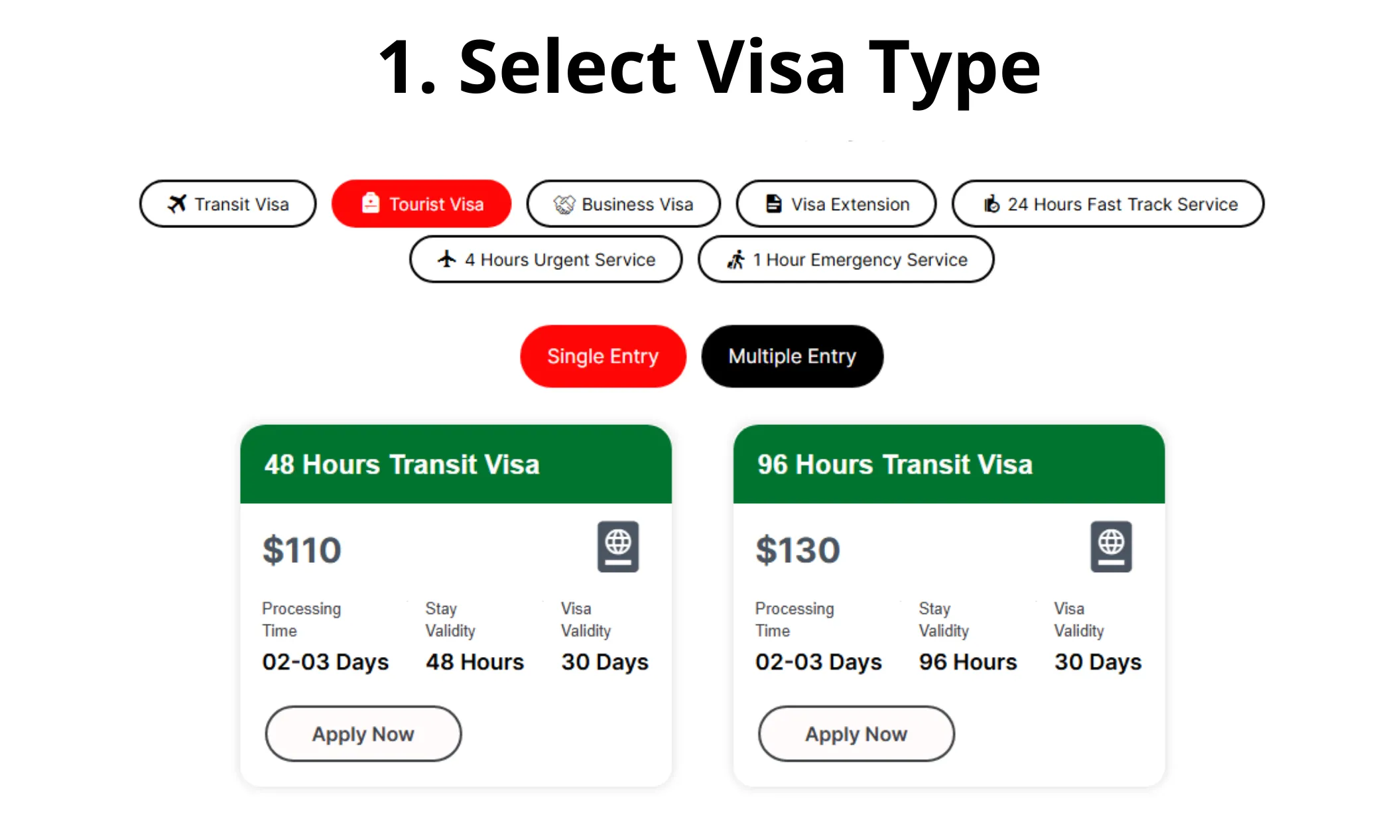 select visa type